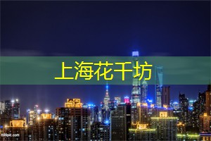 夜上海，探索夜游背后的文化内涵