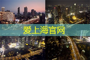 上海夜景之旅：霓虹灯下的浪漫与绚丽